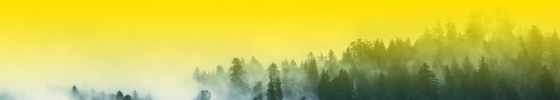 大兴安岭的雪好的个人主页（封面预览） - 主页封面设置 - 站酷设计师大兴安岭的雪好原创素材 - 站酷ZCOOL