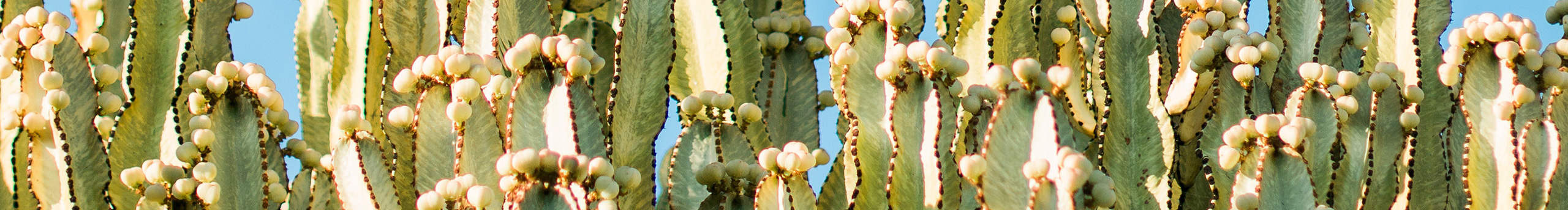 影像工人的个人主页（封面预览） - 主页封面设置 - 站酷设计师影像工人原创素材 - 站酷ZCOOL