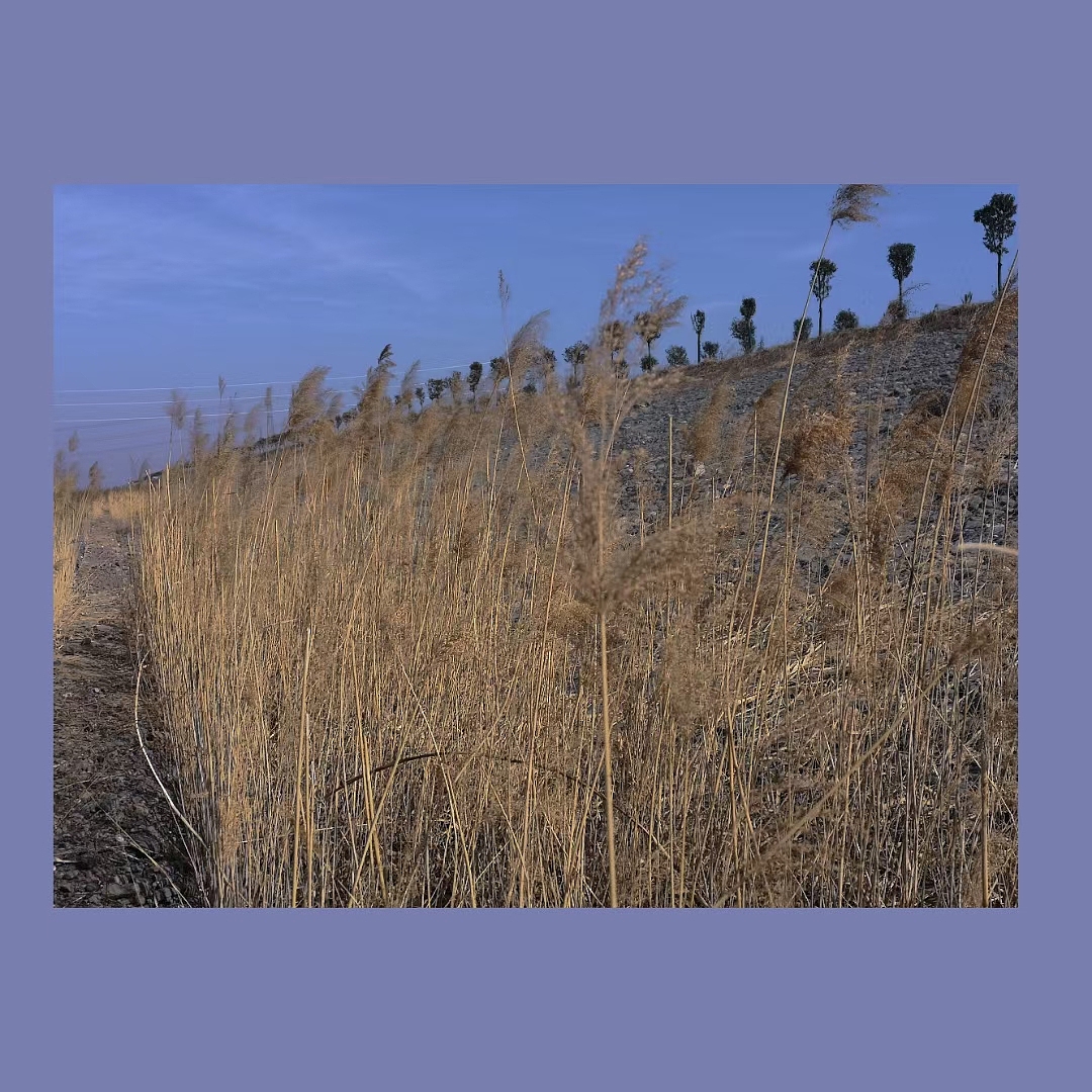 风景（图ZMjQ0NDk1ODA4） - 风光摄影 - 站酷设计师SGEJWJ原创素材 - 站酷ZCOOL