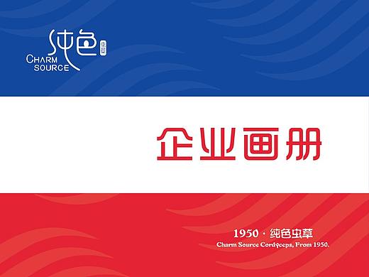 纯色企业画册