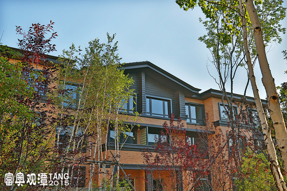 长春富奥 观潭联排别墅景观