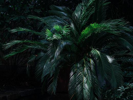 幽幽（個人主頁-ZNDcwNTY3MjA=） - 產品攝影 - 站酷設計師捕風捉影DL原創(chuàng)素材 - 站酷ZCOOL