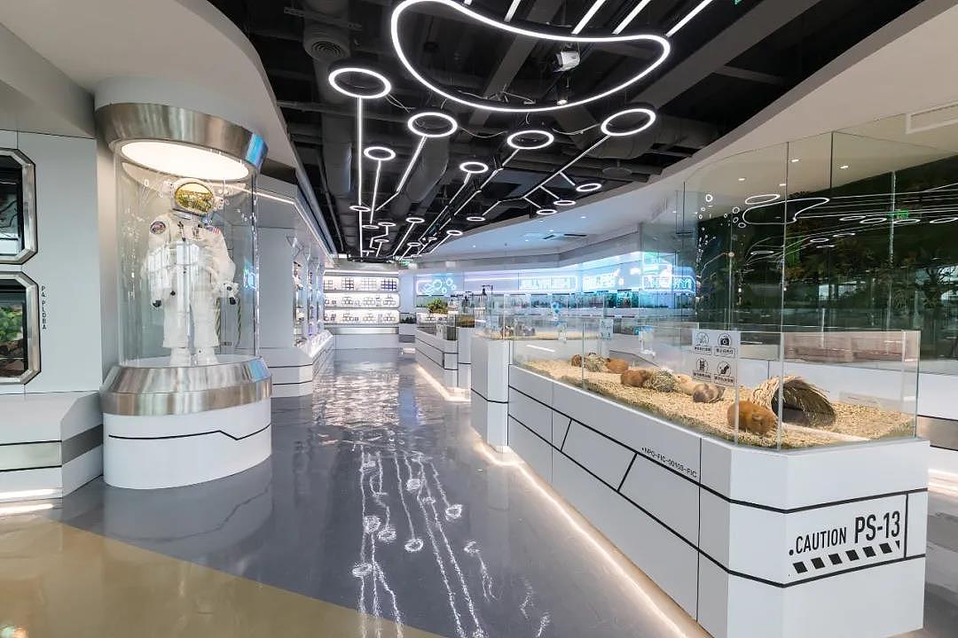 未本×极宠家：什么样的宠物店才能戳中铲屎官的心（图ZMzA4NzI2ODM2） - 商业空间设计 - 站酷设计师未本共生原创素材 - 站酷ZCOOL