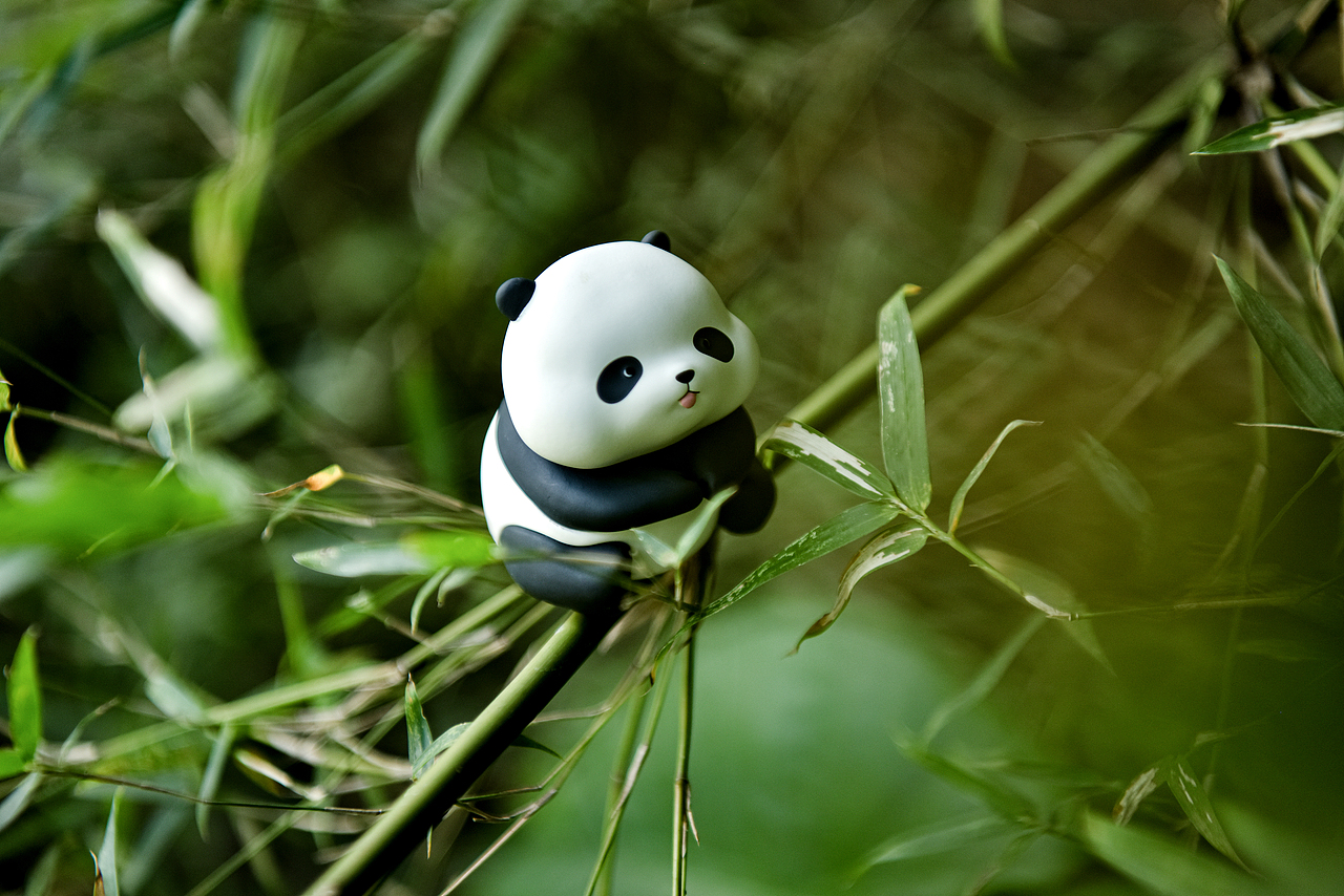 熊猫＆竹笋的宇宙大冒险（图ZMzExNDI4Njcy） - 产品摄影 - 站酷设计师Evil7Live原创素材 - 站酷ZCOOL