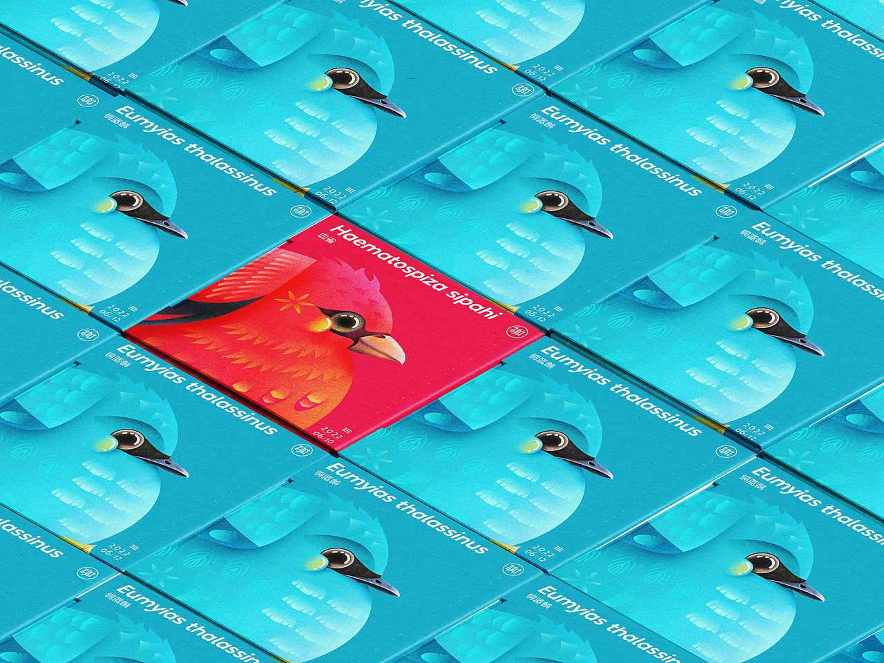 雀食（图ZMzA2NjA1NTAw） - 创作习作 - 站酷设计师言身寸言身寸原创素材 - 站酷ZCOOL