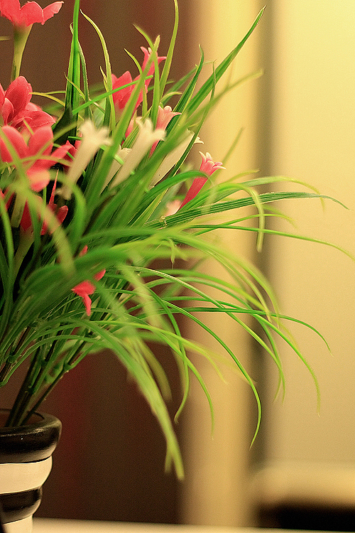 豪宅,还是豪宅。。。