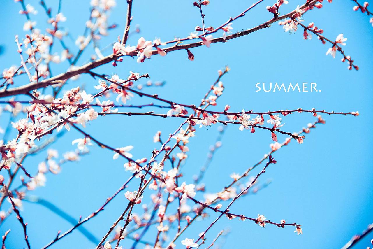 那天天氣很好 正好你在我身旁（圖ZMjY5NDU3ODA=） - 人像攝影 - 站酷設(shè)計(jì)師5umm1r原創(chuàng)素材 - 站酷ZCOOL