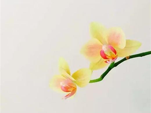 摄影初学者能轻松提升摄影水平的小技巧，收下啦