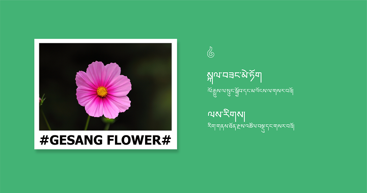 #GESANG FLOWER#（图ZMjczMTA2Nzg4） - 品牌 - 站酷设计师拉纳木藏式设计原创素材 - 站酷ZCOOL