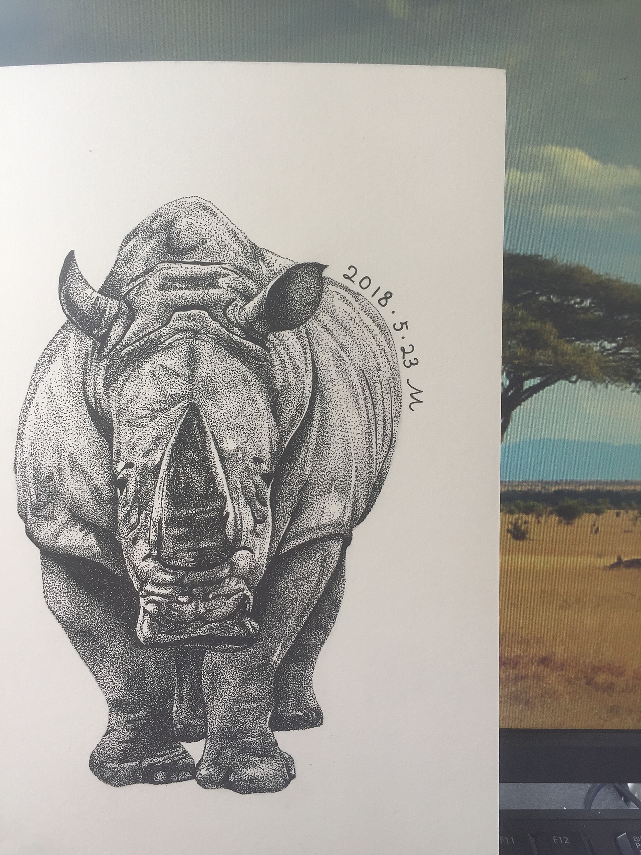 中性笔点画犀牛