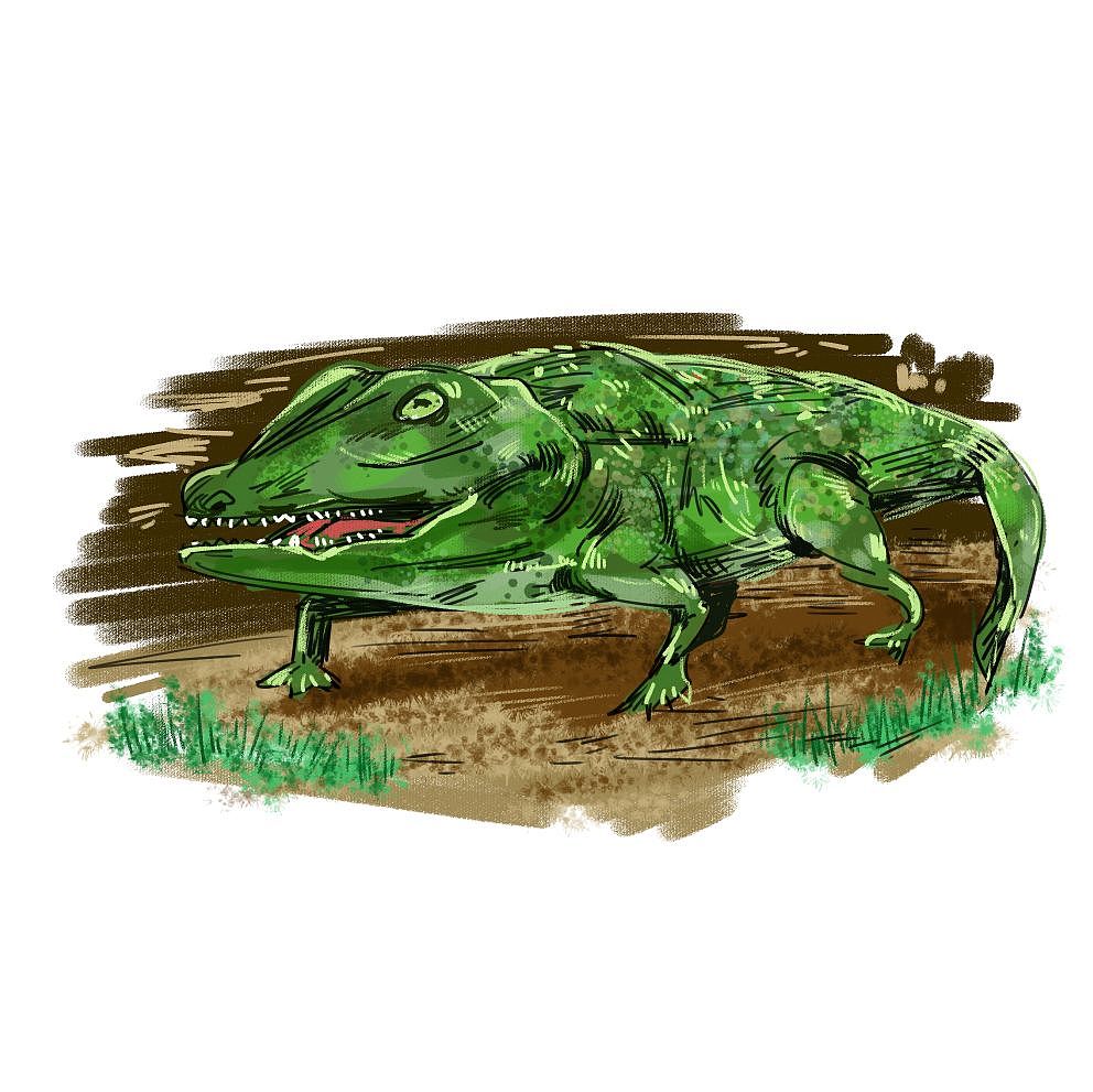 46亿岁的地球-生物多样的古生代（图ZMzY3MjE5ODQ4） - 商业插画 - 站酷设计师点琢工作室原创素材 - 站酷ZCOOL