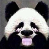 河南云德设计的头像