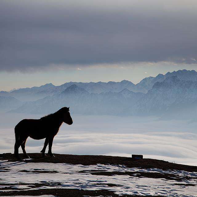 翻过那座山#出发的勇气2014#（图ZMjAzNTE5NDA=） - 风光摄影 - 站酷设计师芊芷烟琼原创素材 - 站酷ZCOOL