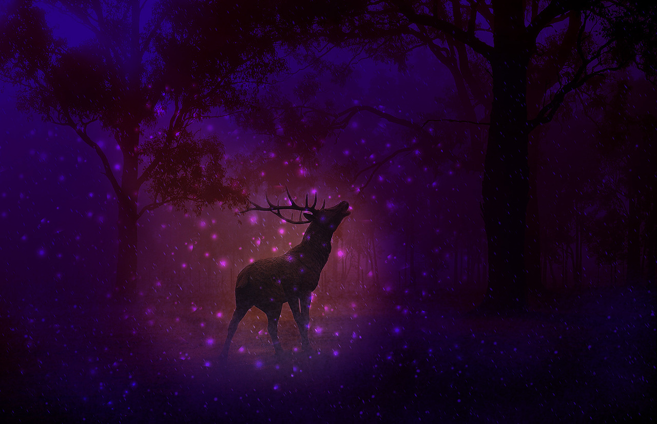 每天学习一点点