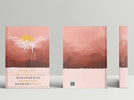 芳华小说书籍封面设计