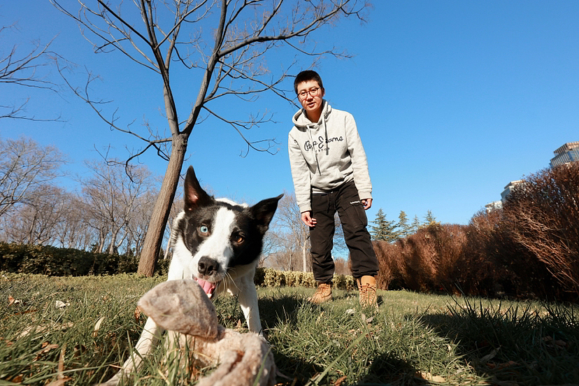 飞盘狗吉米和他的主人