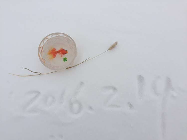 连年有鱼2016（图ZNDE5OTEzNDg=） - 工艺品设计 - 站酷设计师6律动7原创素材 - 站酷ZCOOL
