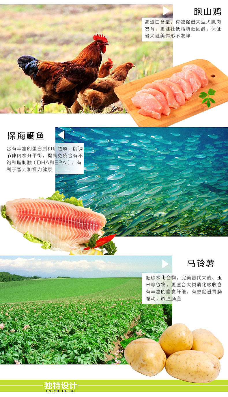 乖宝鲜肉五谷粮-犬粮-详情页