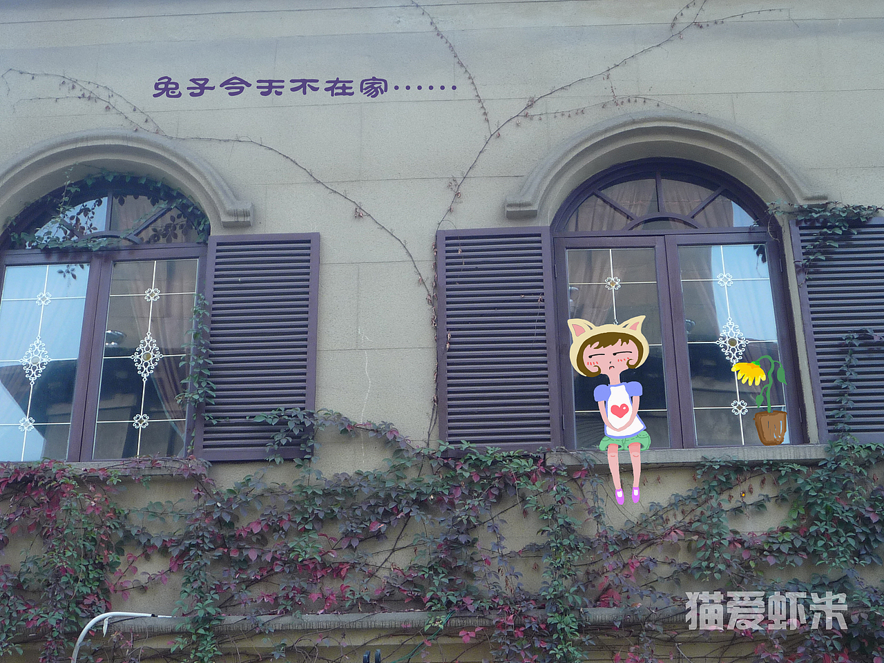 兔子今天不在家（图ZNDI5NzQzMg==） - 风光摄影 - 站酷设计师嘴角黏饭粒原创素材 - 站酷ZCOOL