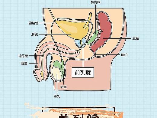 医疗泌尿系统肿瘤、前列腺癌、肾癌、健康