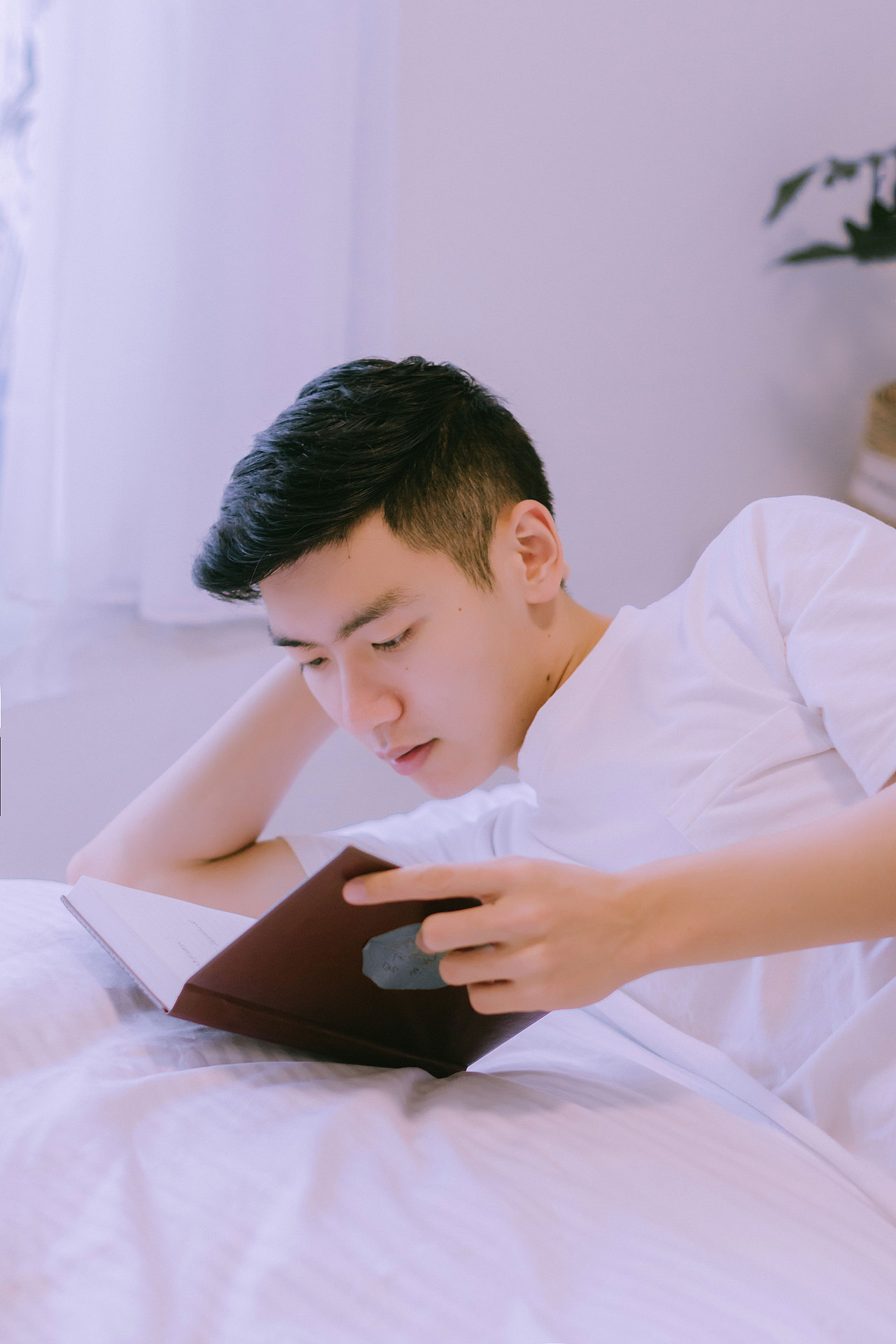 星星会说话 石头会开花