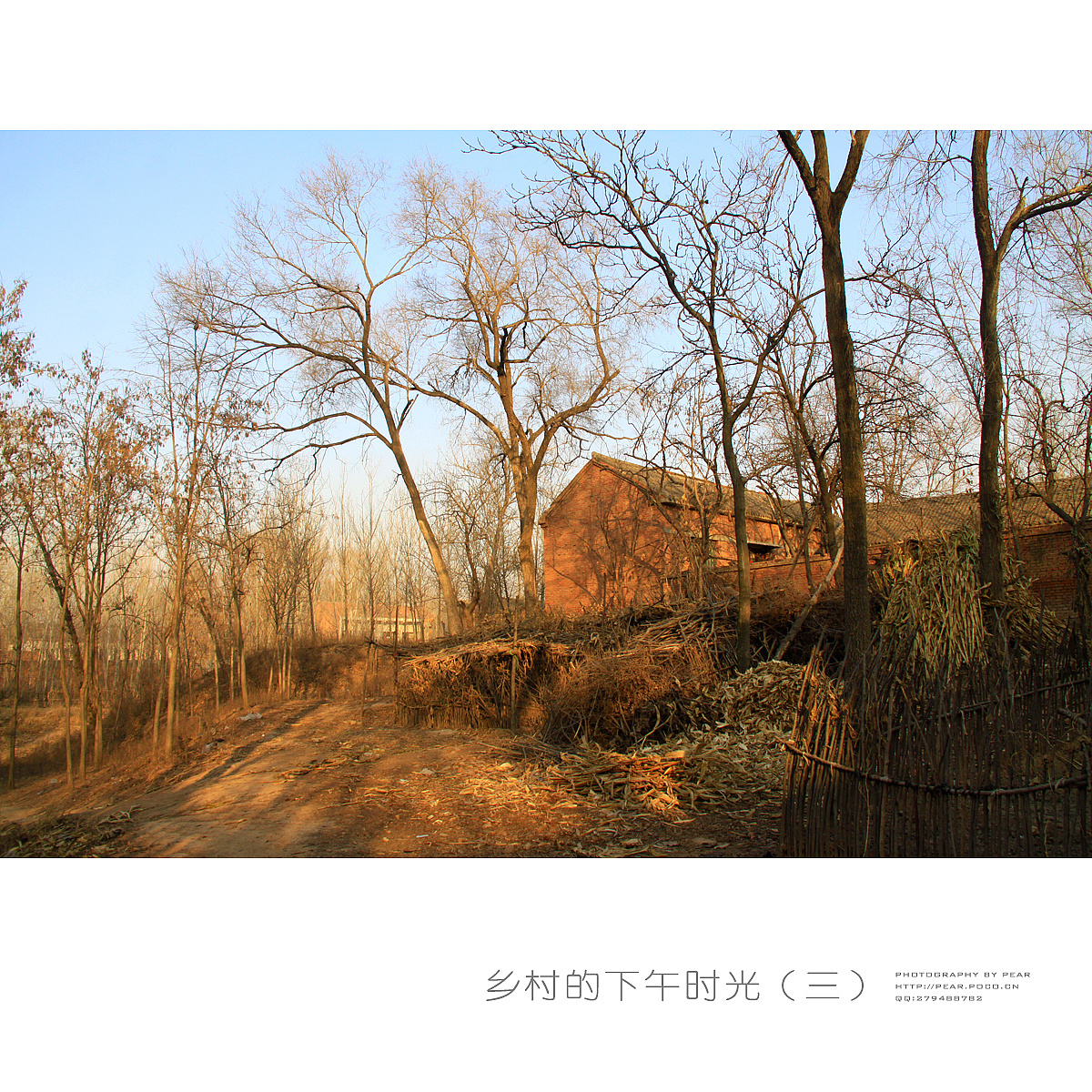 乡村的下午时光(三)|摄影|其他摄影|pear1103 - 原创作品 - 站酷
