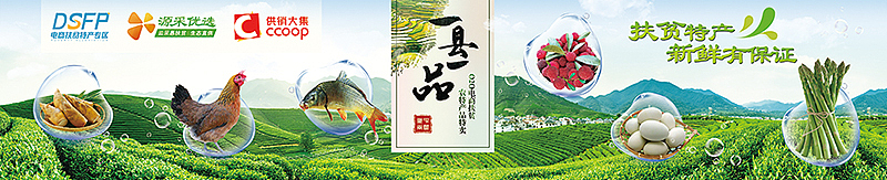 湖南电商扶贫【一县一品】 步步高超市促销2017（图ZMTM4NzE2MjU2） - 宣传物料 - 站酷设计师oonttx原创素材 - 站酷ZCOOL