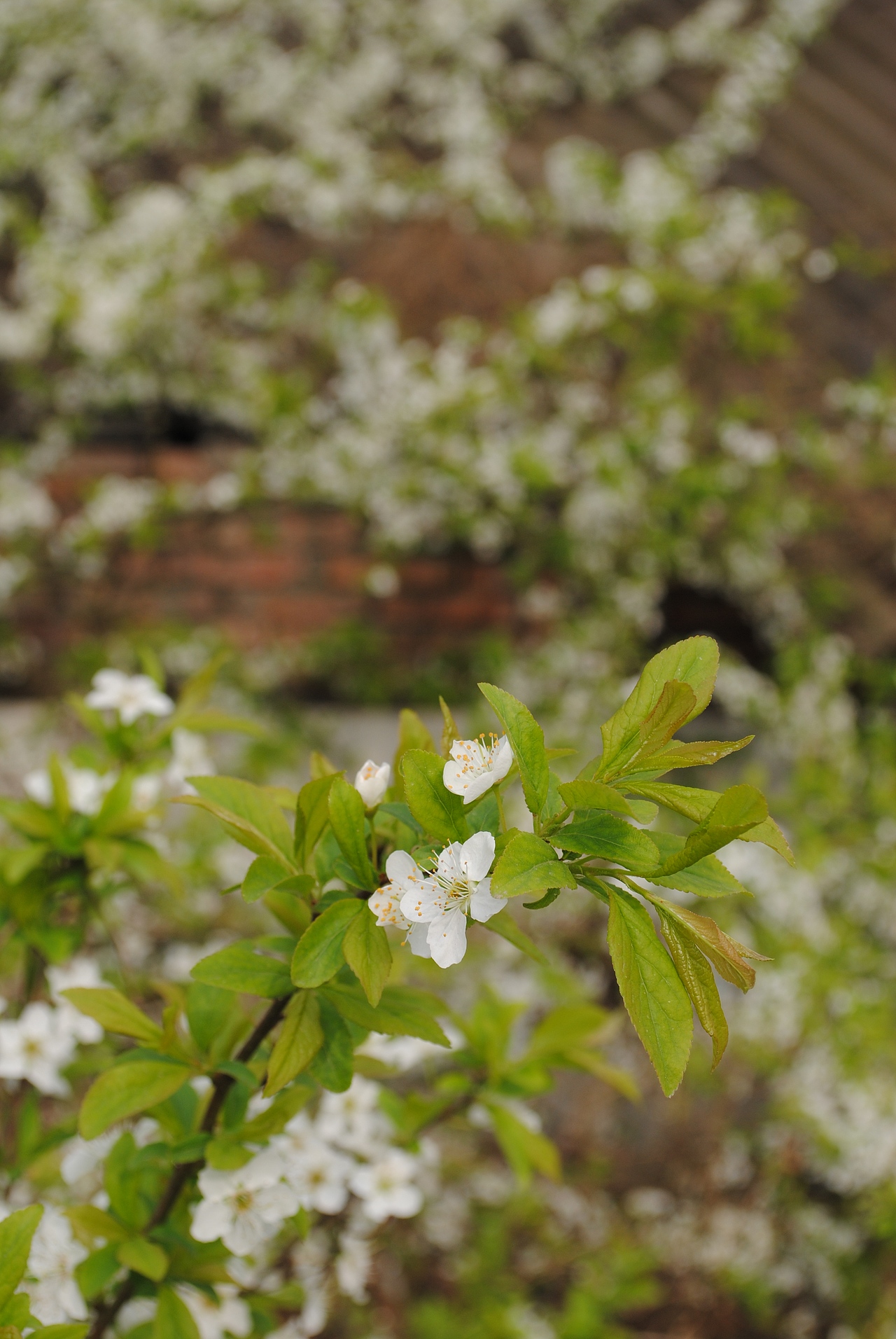 那些很美的地方不属于我（图ZNTMyMDg5Ng==） - 风光摄影 - 站酷设计师欧阳紫嫣原创素材 - 站酷ZCOOL