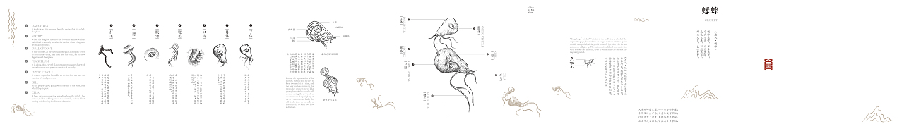 《诗经》中的昆虫（图ZMTcxMDk3NjE2） - 手办/模玩 - 站酷设计师鱿小哉原创素材 - 站酷ZCOOL