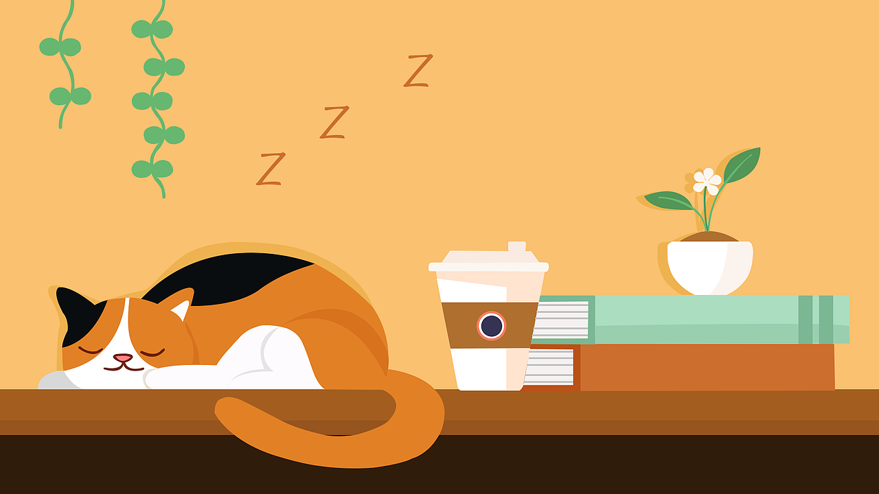 小猫咪午睡（图ZMTg0Njg3MTA4） - 创作习作 - 站酷设计师Seven科锦原创素材 - 站酷ZCOOL