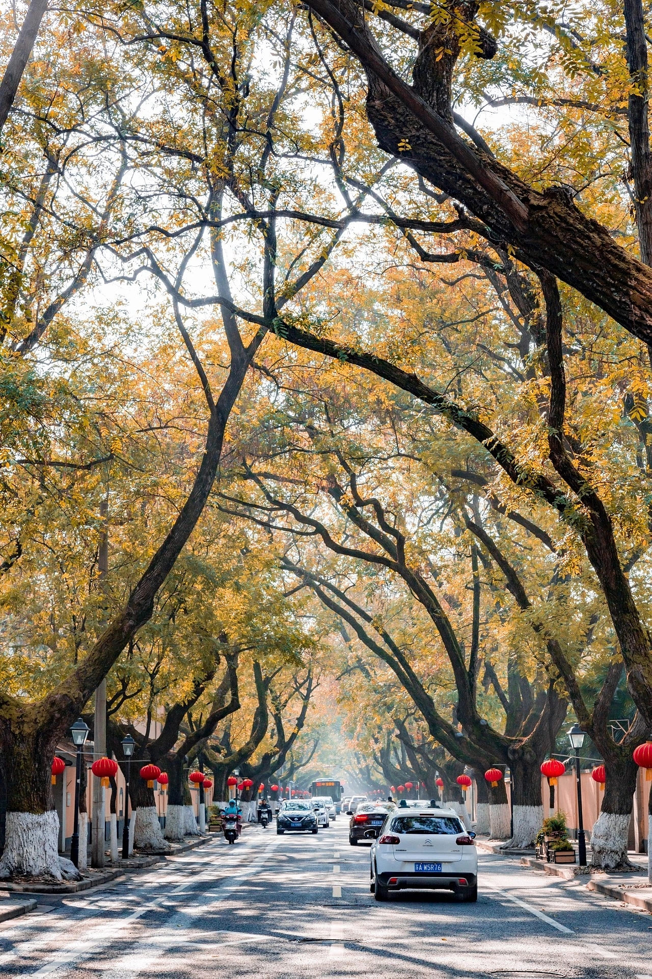 家的记忆（图ZMTg5NzIyNTMy） - 风光摄影 - 站酷设计师front_t原创素材 - 站酷ZCOOL