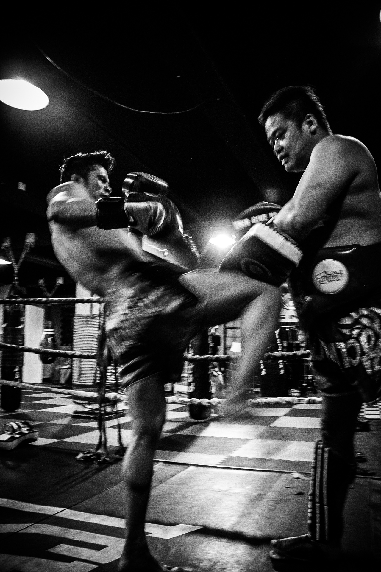 WBC·东方战龙首场世界泰拳争霸赛中国香港开打 连战14场决出“金腰带”