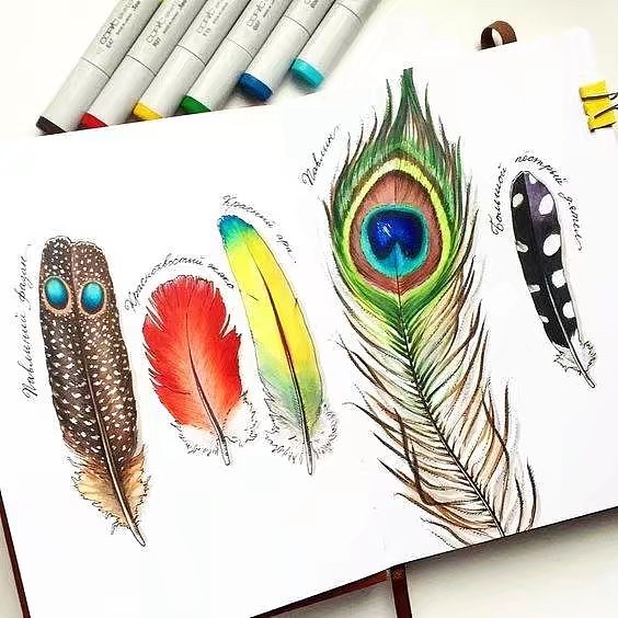 清新手绘（图ZMTI5Mjc0NjQ4） - 艺术插画 - 站酷设计师一只虎斑喵呀原创素材 - 站酷ZCOOL