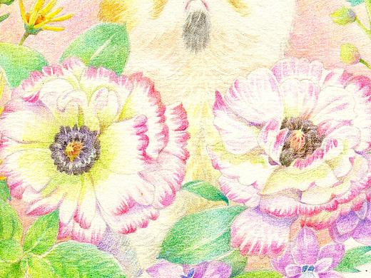 萌系小动物彩铅手绘