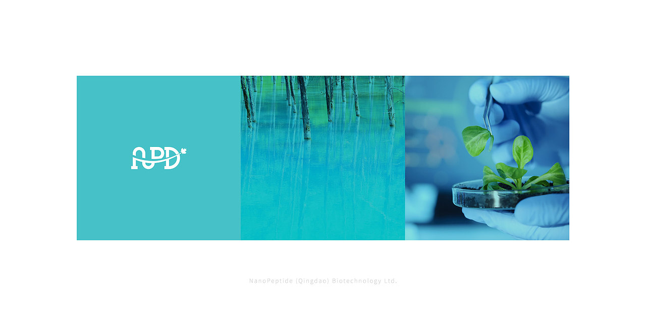 纳肽得生物医药有限公司视觉（图ZMTA4NTU2Nzgw） - 品牌 - 站酷设计师尼克不是尼克原创素材 - 站酷ZCOOL