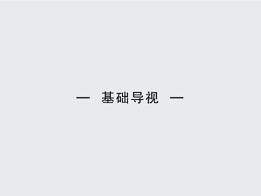 导视