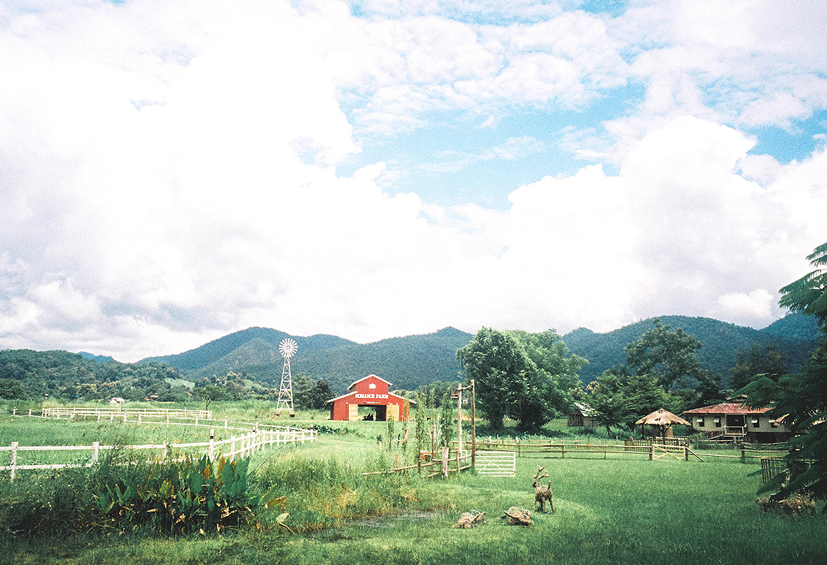 泰国走一遭。（图ZMTMzMjA4NTA0） - 人像摄影 - 站酷设计师77同学原创素材 - 站酷ZCOOL