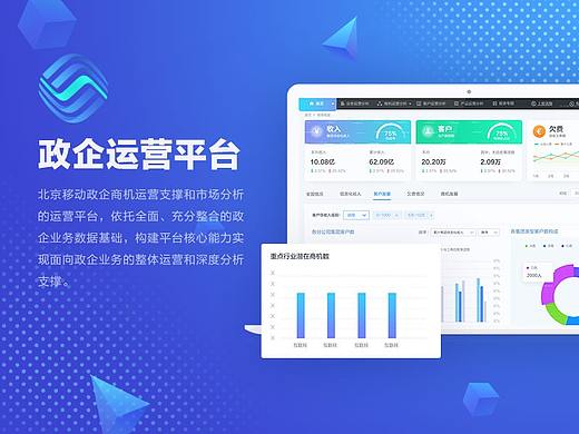 某公司一运营平台