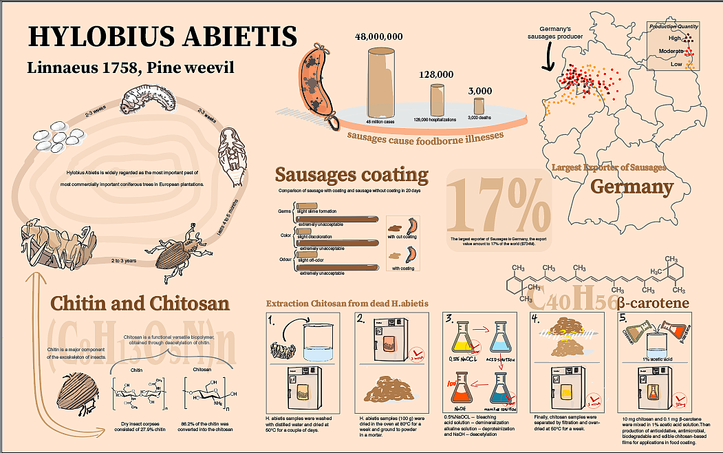 数据可视化（图ZMTk0MDgzNjMy） - 信息图表 - 站酷设计师Shurui_ren原创素材 - 站酷ZCOOL