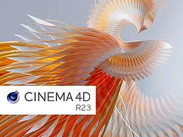 C4D