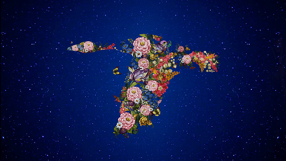 在一次视觉升级