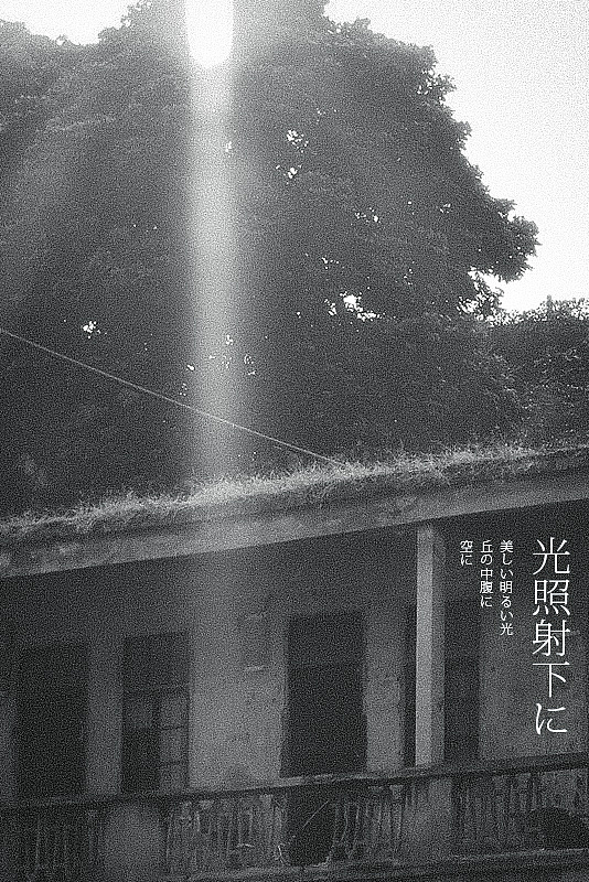 废片实验（图ZMTQ3MTQ2NzI=） - 其他摄影 - 站酷设计师AlexNin原创素材 - 站酷ZCOOL