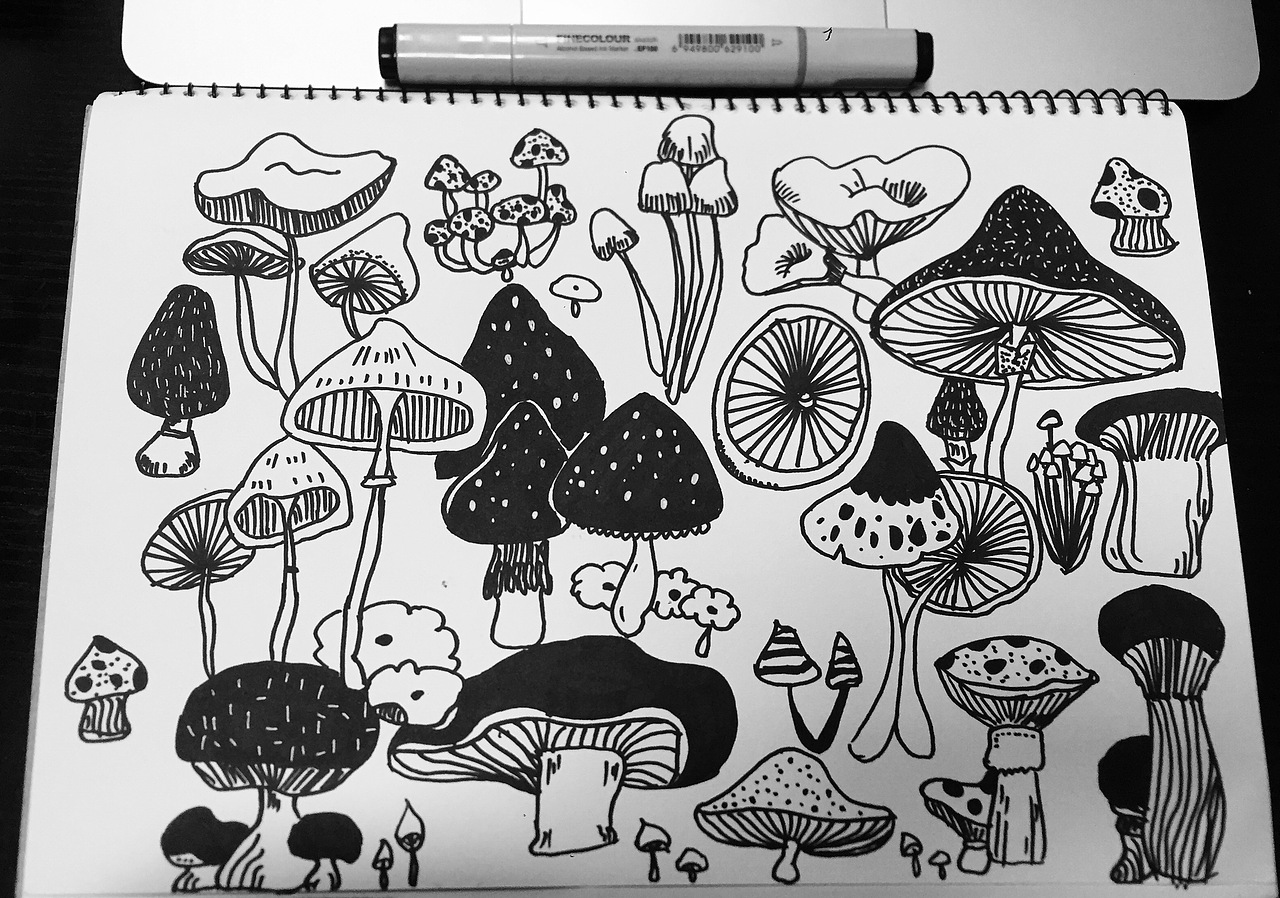 馬克筆練習（圖ZMTA0OTM5Mjg0） - 創(chuàng)作習作 - 站酷設計師師姐張原創(chuàng)素材 - 站酷ZCOOL