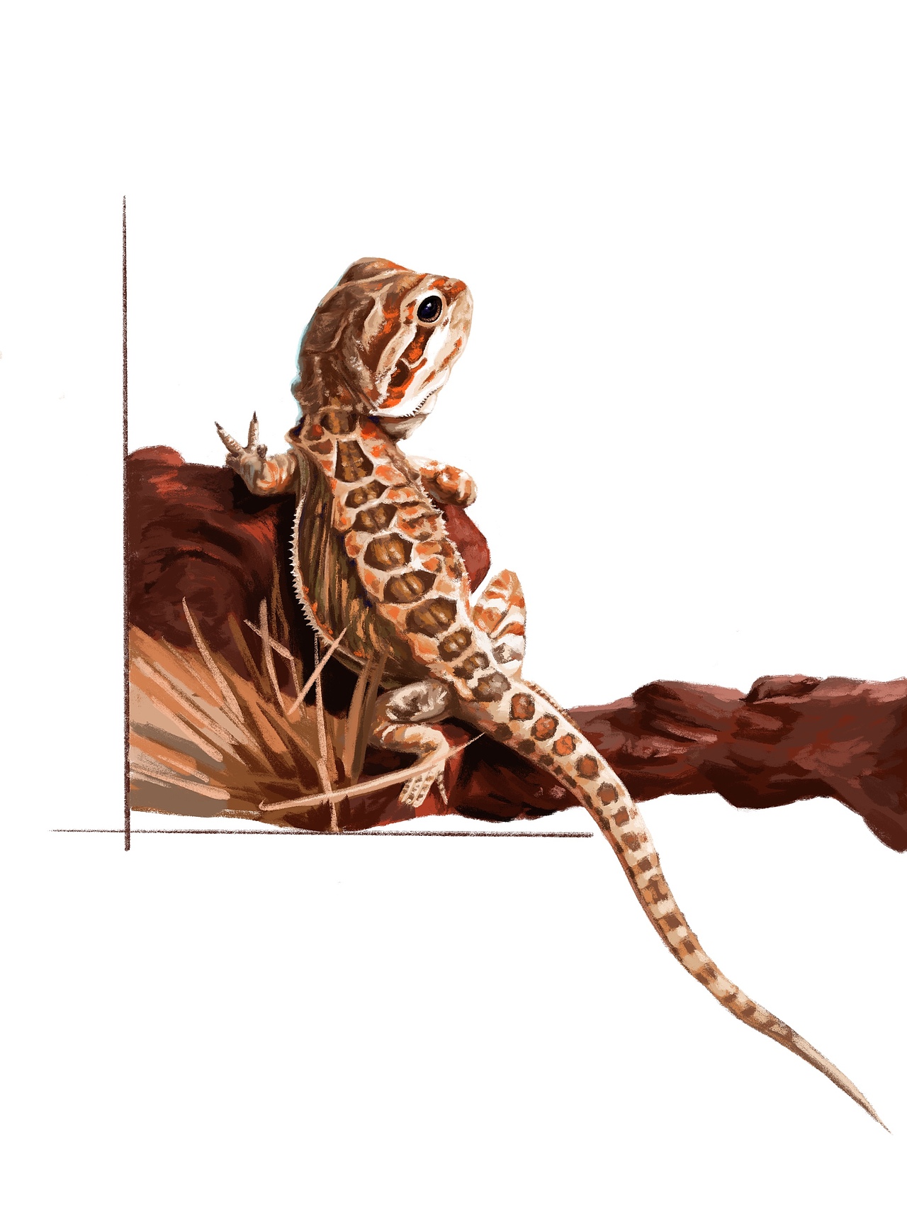 今日手绘-萌宠-小蜥蜴-肥龙