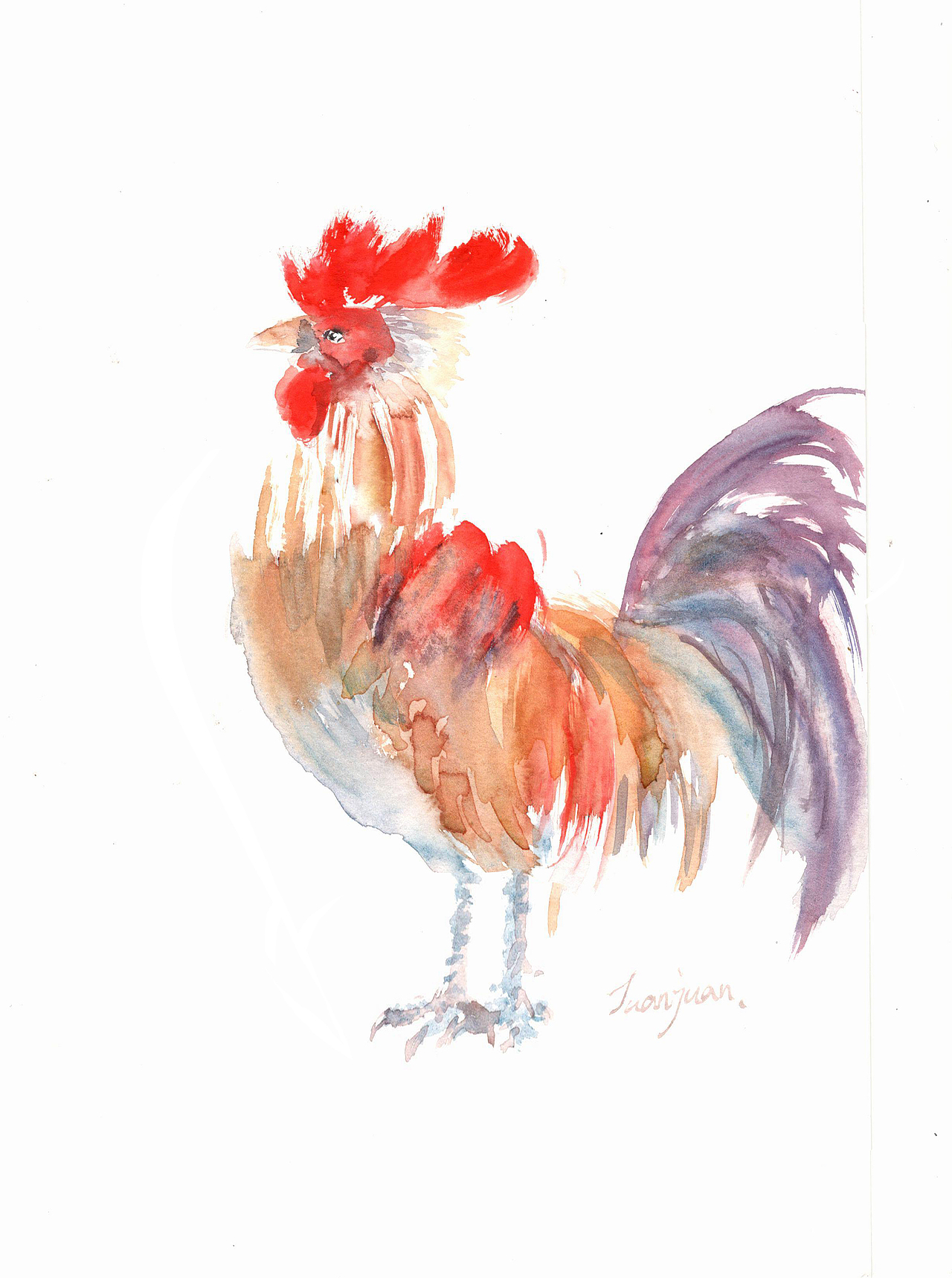 水彩画鸡正在参与:17跨年 17画鸡南京|插画师沐乐九11|2|744原创作品