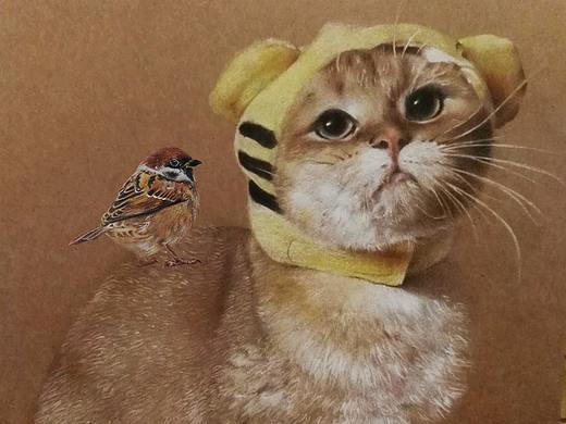 彩铅手绘小奶猫