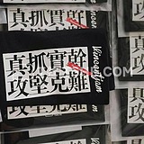 大家好我是佩琦的头像