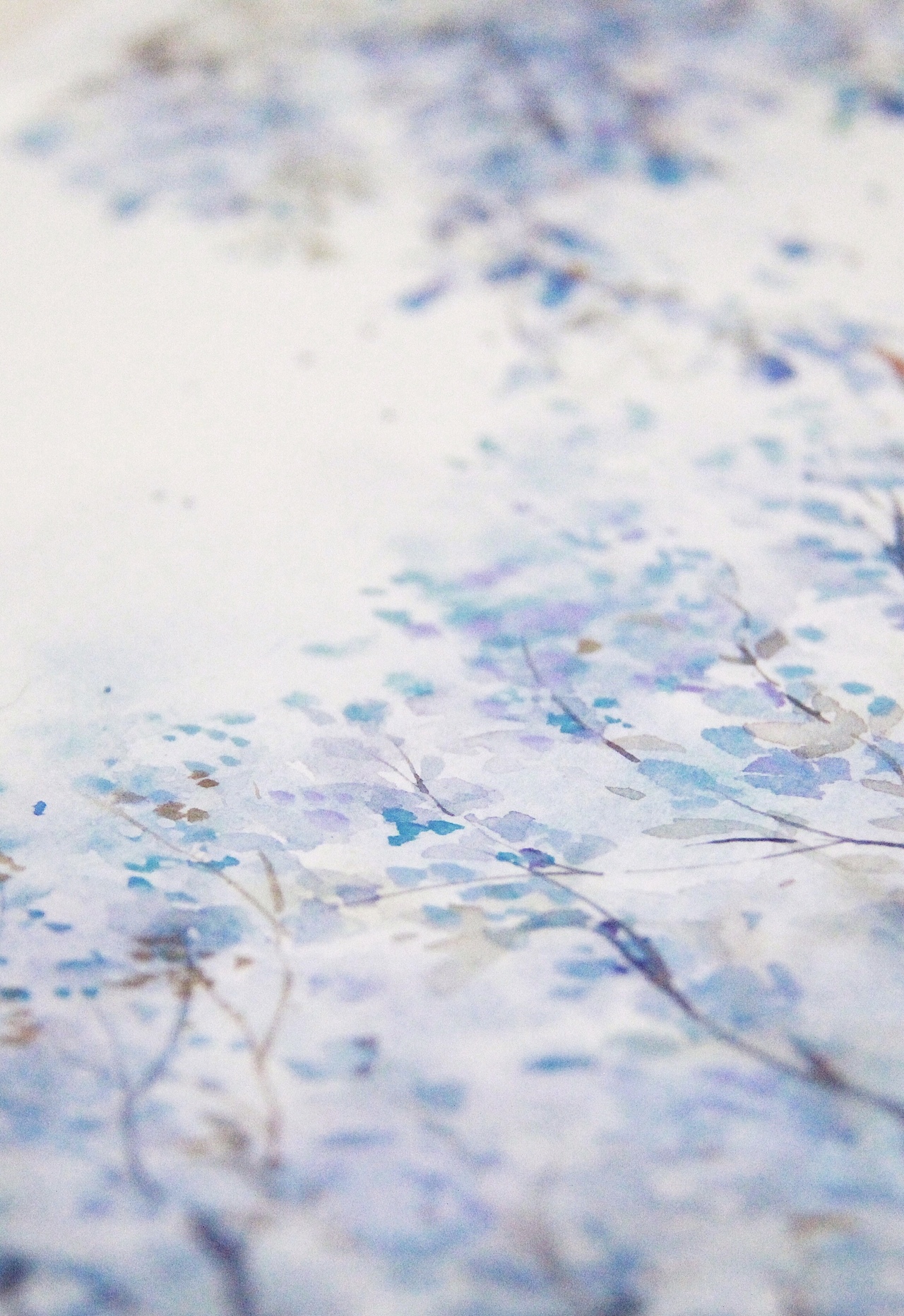 国风水彩蓝花楹