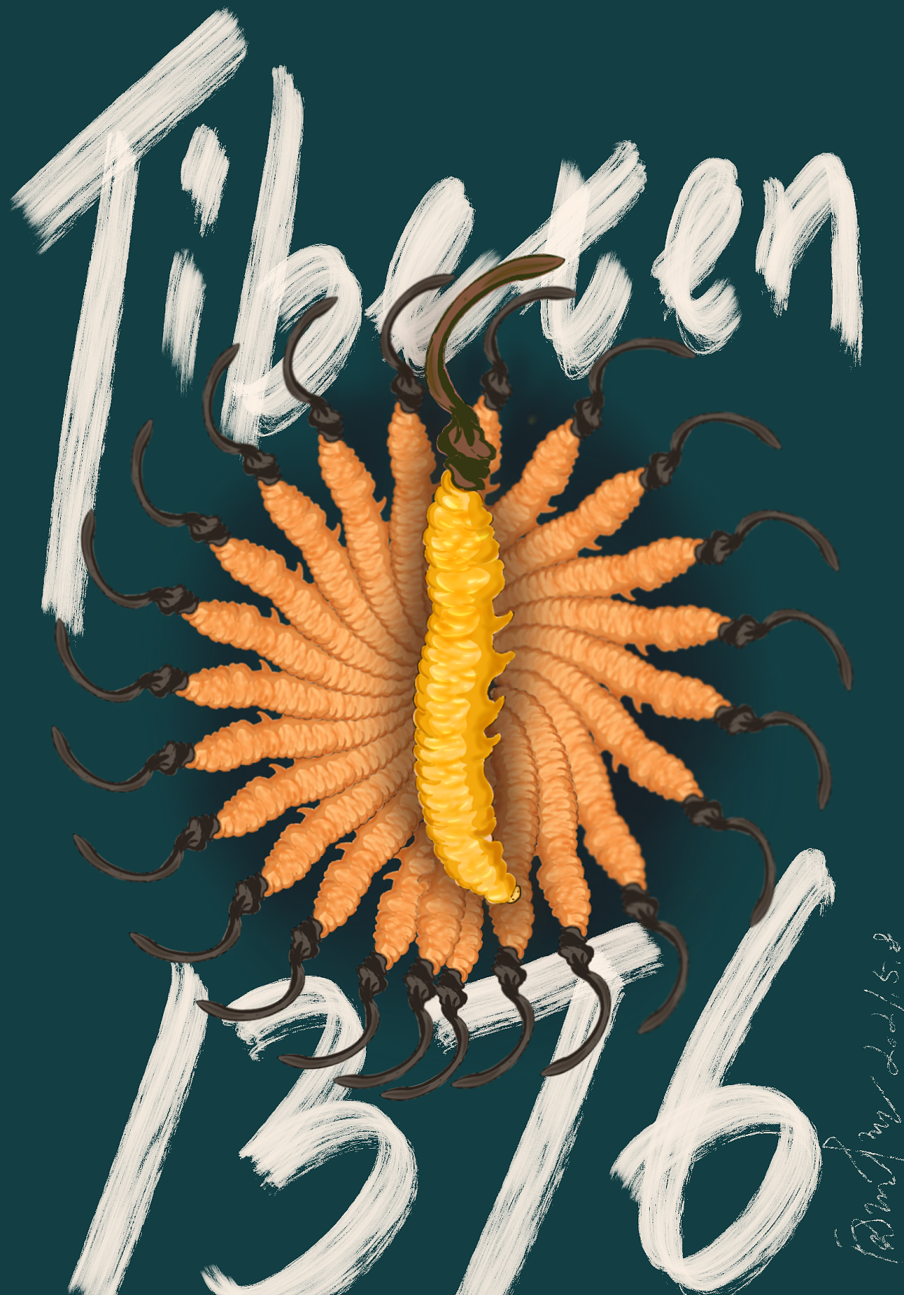 冬虫夏草|插画|创作习作|隆爷艺术 - 原创作品 - 站酷 (zcool)