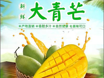 芒果（青芒）详情页（个人主页-ZMzAyMzQ0NjQ=） - 电商 - 站酷设计师向阳奔跑的婷原创素材 - 站酷ZCOOL